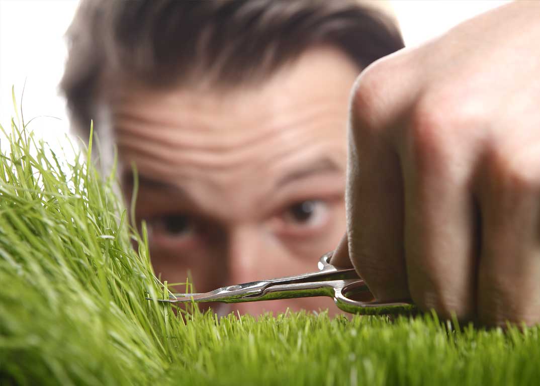 Get my grass online cut today