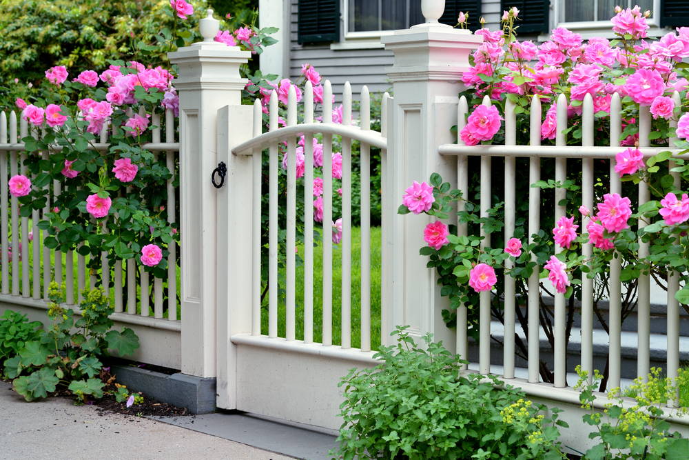 charming-southern-fence-flowers
